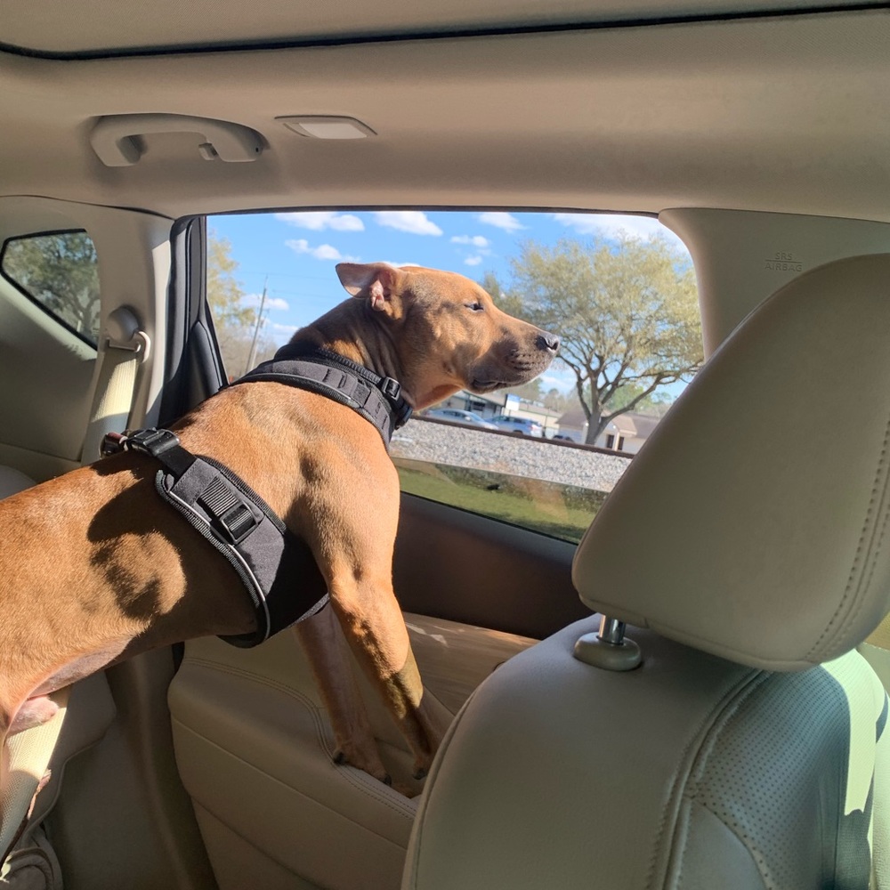 Meet your Posher, Mary - Picture 8 of 10